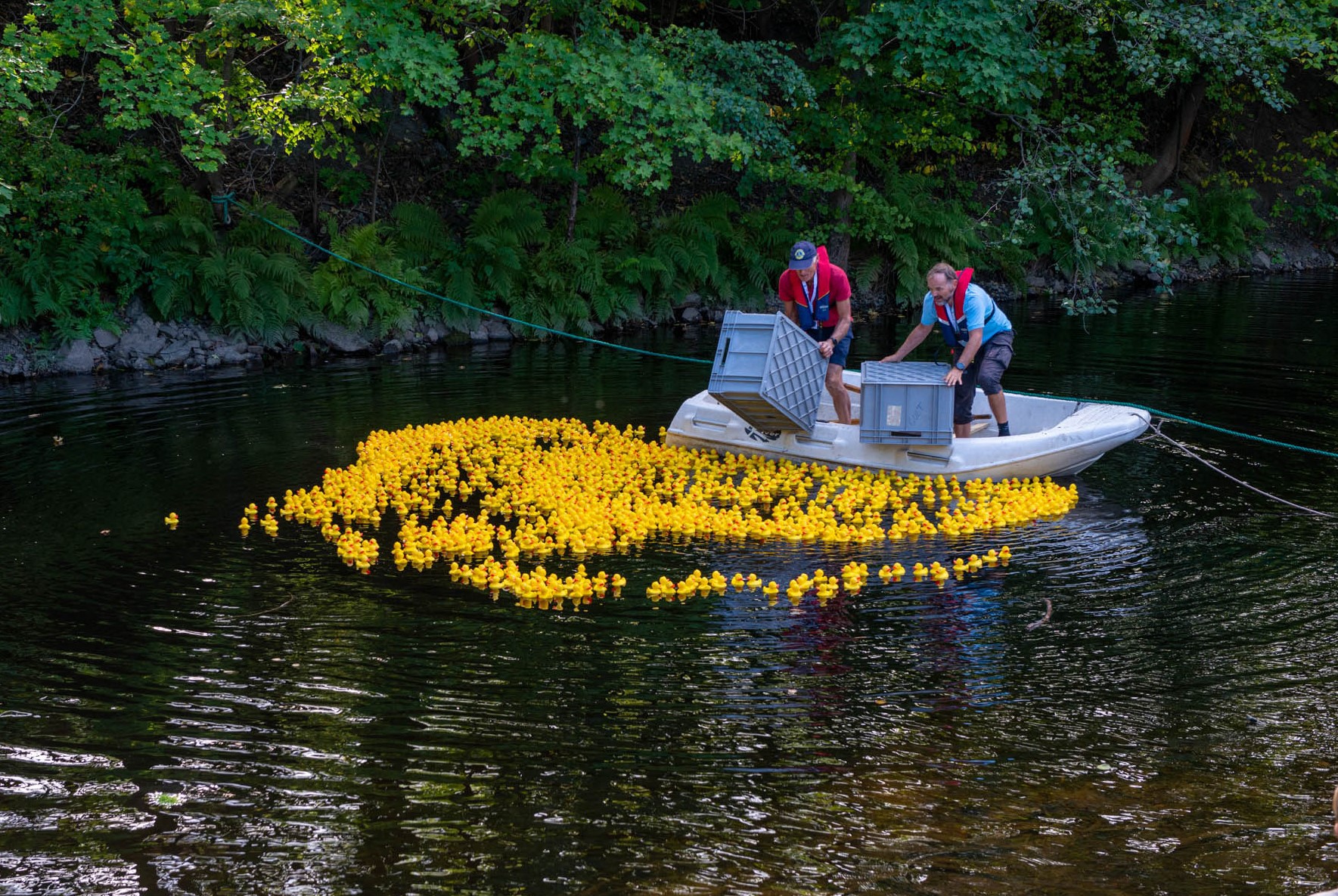 Vinnere av Lysakerelva Andeløp 2021