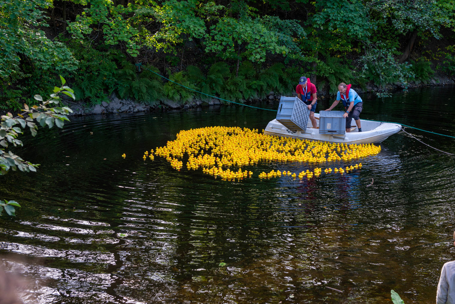 Lysakerelva Andeløp 2023